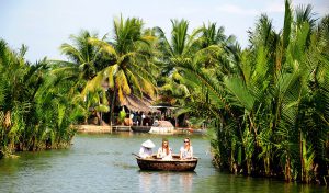 review tour rừng dừa bảy mẫu