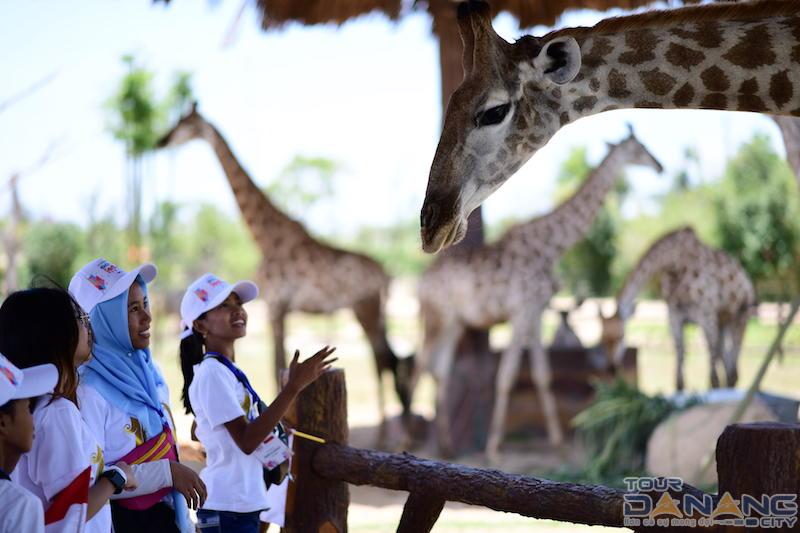 tour vinpearl land nam Hội An 1 ngày