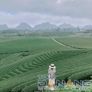 Có tới 2 cung đường để bạn đến với Đông Giang