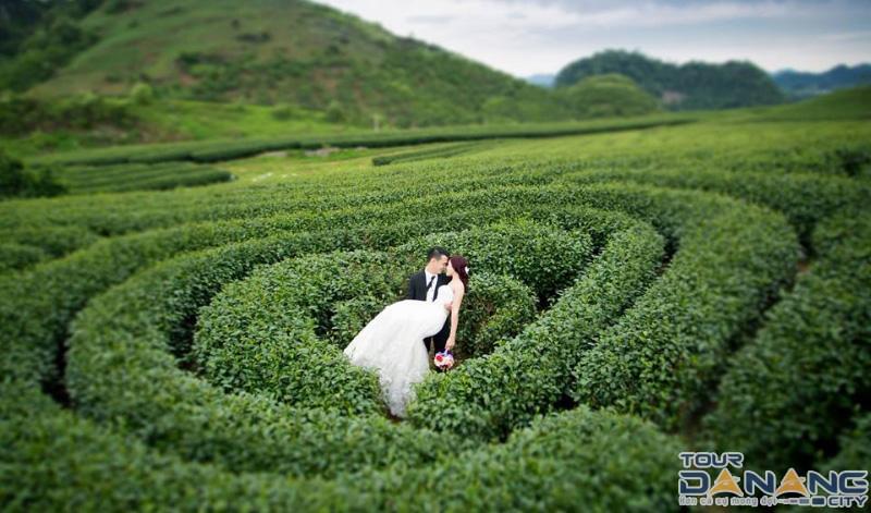 Tấm hình cưới bắt mắt được chụp ở đồi chè Đông Giang