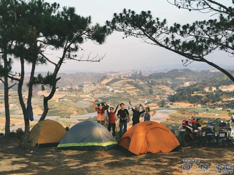 Tổ chức camping, picnic cùng gia đình người thân